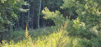 Lot 561 Bluff View Dr, Dunlap, TN 37327 - photo 5