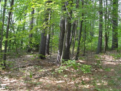 0 S South Bridgton Rd unit 1320484, Bridgton, ME 04009 - photo 4