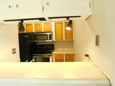 30 Coventry Ln unit 5, Muscatine, IA 52761 - photo 4