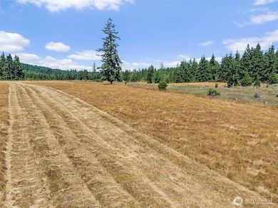 0 Frogner Rd unit 3 NWM2417175, Adna, WA 98532 - photo 6