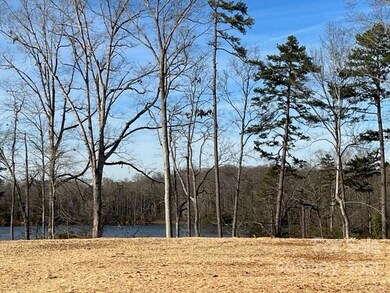 1209 Featherton Dr unit 15, Belmont, NC 28012 - photo 2