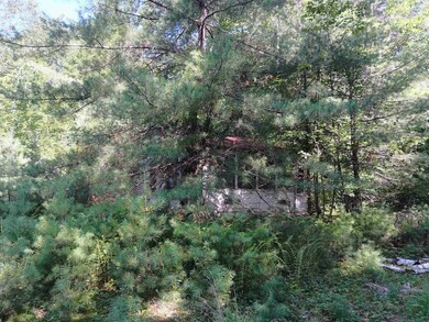 106 Middle Rd, Center Tuftonboro, NH 03816 - photo 4