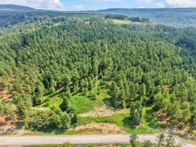 0 Birds Eye Way unit 1519255, Guild, TN 37340 - photo 3