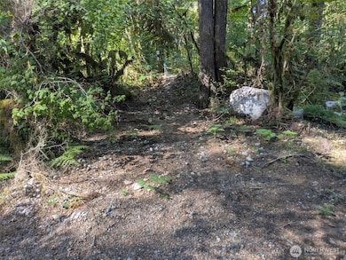 63783 W Cascade Dr unit D1-17, Marblemount, WA 98267 - photo 4