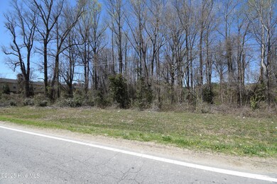 0 Williams Rd unit 100495497, Greenville, NC 27834 - photo 2