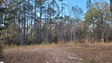 3082 State Road S-30-82, Laurens, SC 29360 - photo 5