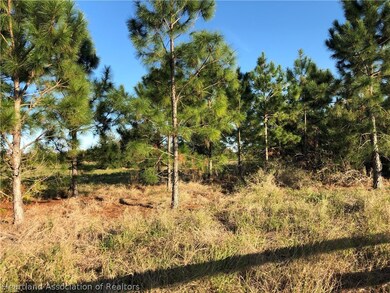 993 Lake Dr E, Lake Placid, FL 33852 - photo 3