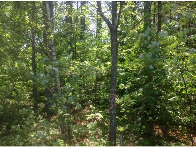 0 Ossipee Lake Rd unit 4432962, Tamworth, NH 03886 - photo 4