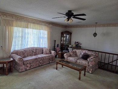 1119 4th Ave, Manson, IA 50563 - photo 5