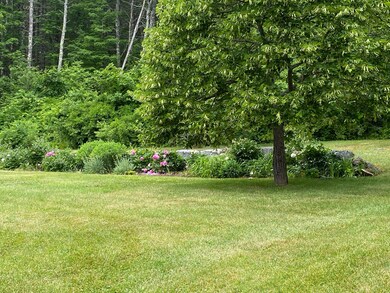 Lawn