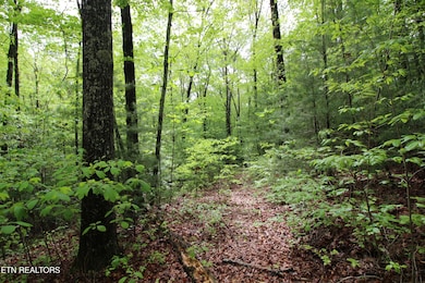 Path