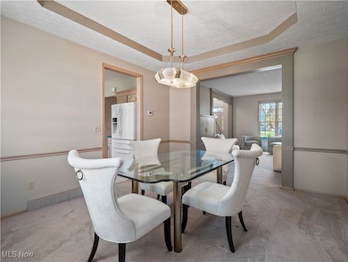 Dining space featuring a textured ceiling, light carpet, and a tray ceiling