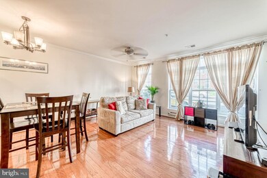 42601 Cardinal Trace Terrace, Ashburn, VA 20148 - photo 7