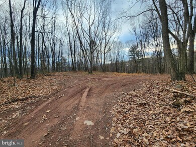 LOT-11 Deer Run Rd, Baker, WV 26801 - photo 4