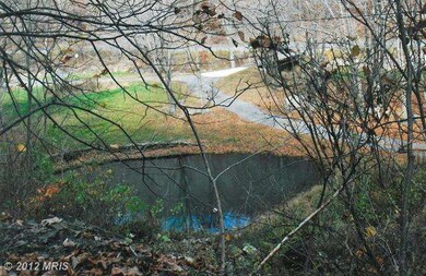 0 Snowy Mountain Rd unit 1003901950, Circleville, WV 26804 - photo 5