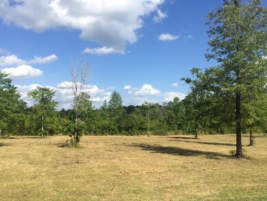 9.3 Acres R Moran Rd, McHenry, MS 39561 - photo 3