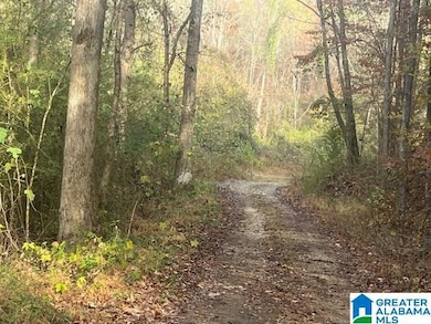 3000 Roberts Mill Pond Rd, Pell City, AL 35125 - photo 5