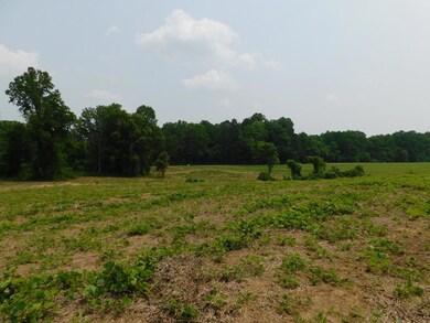 Open field