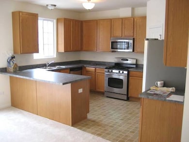 928 Charlton Ln unit 5102, Naperville, IL 60563 - photo 6