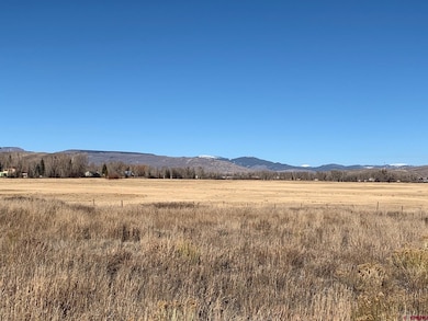 300 Tomichi Creek Loop, Gunnison, CO 81230 - photo 3