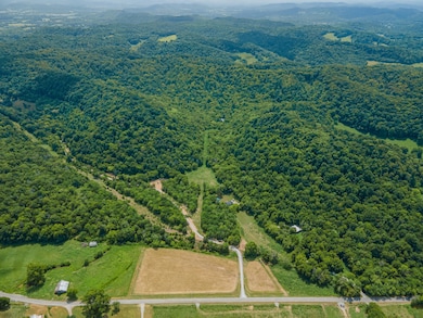 2970 Springplace Rd, Belfast, TN 37019 - photo 7