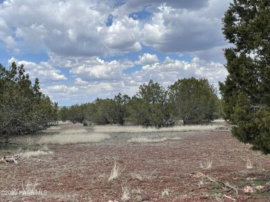 2460 Denny Dr, Ash Fork, AZ 86320 - photo 5
