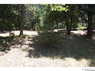 73 Foxglove Ct, Murphys, CA 95247 - photo 3