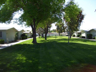 COURT YARD