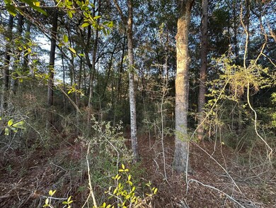 TBD E Chestnut Ave, Crestview, FL 32539 - photo 4