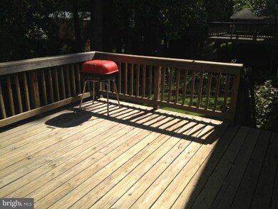 13013 Matey Rd, Silver Spring, MD 20906 - photo 4