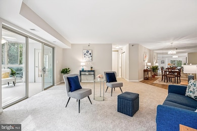 14809 Pennfield Cir unit 315, Silver Spring, MD 20906 - photo 6