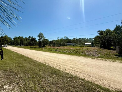 0 SW 103rd Terrace, Cedar Key, FL 32625 - photo 6