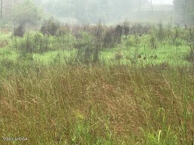Power line for hunting