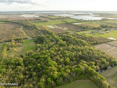 DJI_0005