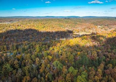 849 County Road 126, Annapolis, MO 63620 - photo 4