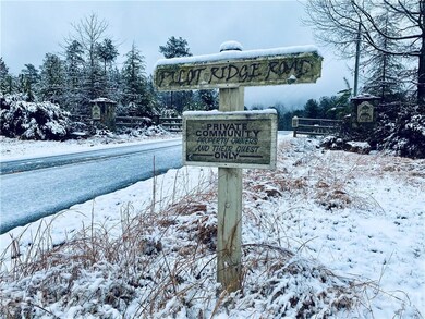 58 Pilot Ridge Dr unit 29, Nebo, NC 28761 - photo 6