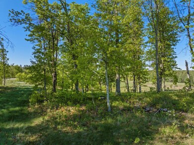 Lot 15 .58 Acres 164 Tom Lehman Dr, First Assessment, MN 56401 - photo 5