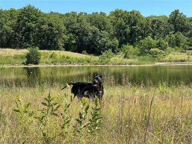 My buddy while taking photos