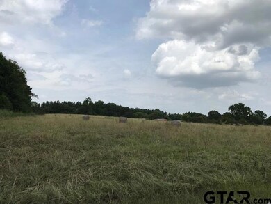 10638 County Road 210, Tyler, TX 75707 - photo 5