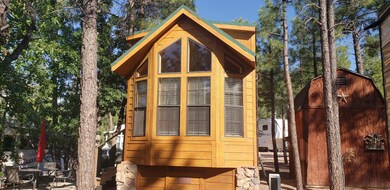 Back View