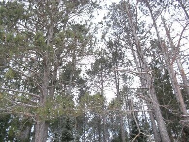 ON Cth Cc, Tomahawk, WI 54487 - photo 4