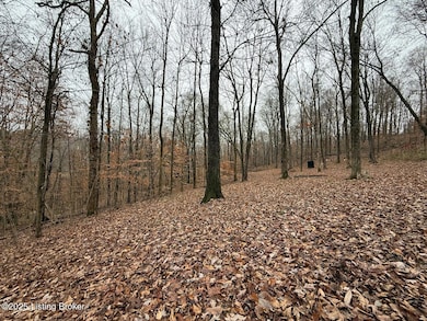 1101 Caneyville Cut Off Rd, Caneyville, KY 42721 - photo 7