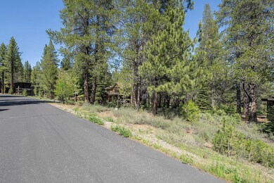 11841 Bottcher Loop, Truckee, CA 96161 - photo 5