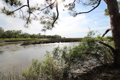 20 George Vause Rd, Alligator Point, FL 32346 - photo 3