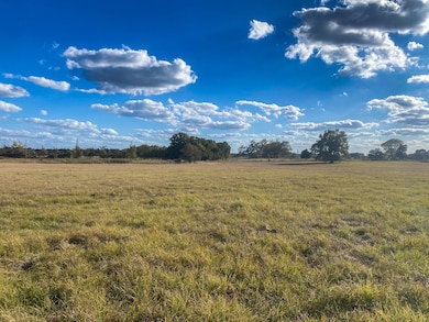 00 Lcr 890, Jewett, TX 75846 - photo 7