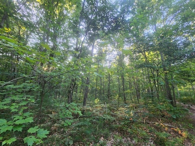 V/L Whitmire Rd, Cedar Creek Township, MI 49457 - photo 4