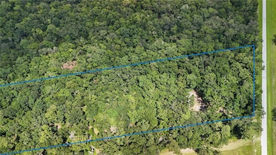 8146 SW County Road 346, Archer, FL 32618 - photo 4