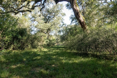 0000 Cr-611, Angleton, TX 77515 - photo 2