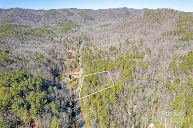 TBD Frozen Creek None unit 34, Brevard, NC 28712 - photo 7