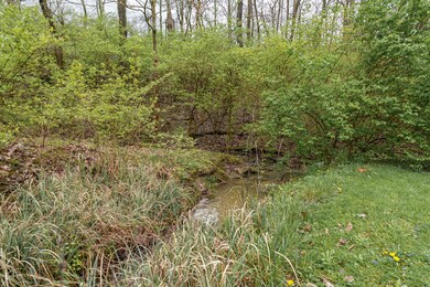 Redbud-13